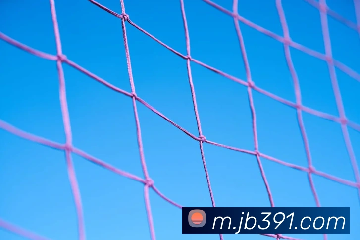 JBO竞博平台生态图